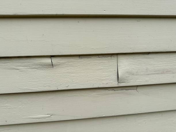 Best Custom Trim and Detailing for Siding  in Southport, IN